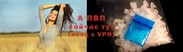 круглые Алексеевка