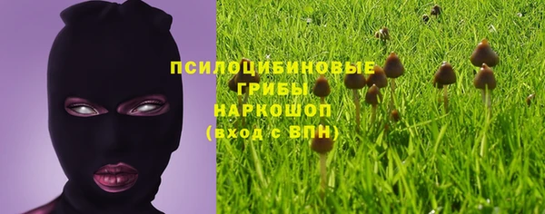 круглые Алексеевка