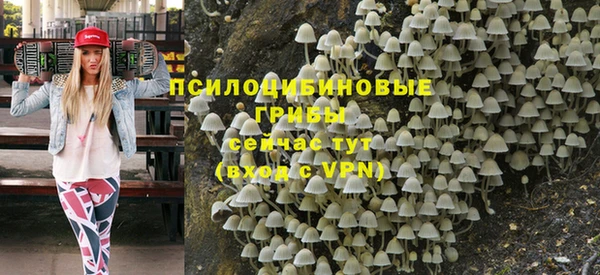 круглые Алексеевка