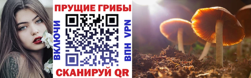 Галлюциногенные грибы ЛСД  где продают   Киселёвск 