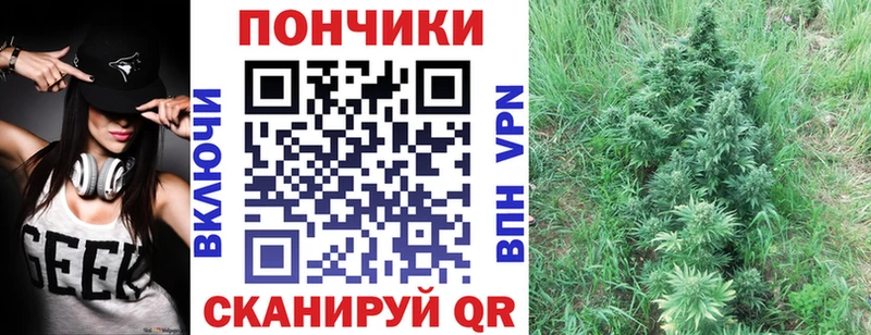 МАРИХУАНА марихуана  ОМГ ОМГ онион  Киселёвск  наркота 